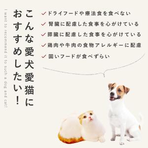 愛犬用 手作りごはん 低リン 低脂肪 犬 腎臓...の詳細画像3