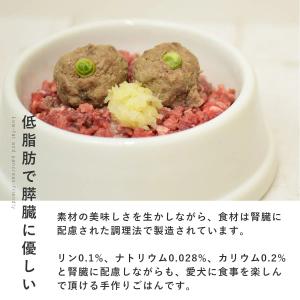 愛犬用 手作りごはん 低リン 低脂肪 犬 腎臓...の詳細画像2
