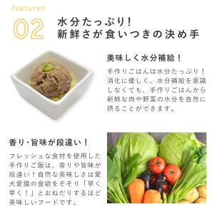 愛犬用 手作りごはん 低リン 低脂肪 犬 腎臓...の詳細画像5