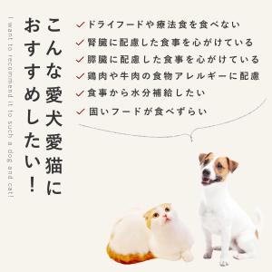 愛犬用 手作りごはん 低リン 犬 腎臓 フード...の詳細画像3