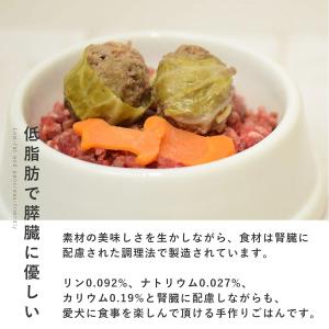 愛犬用 手作りごはん 低リン 犬 腎臓 フード...の詳細画像2