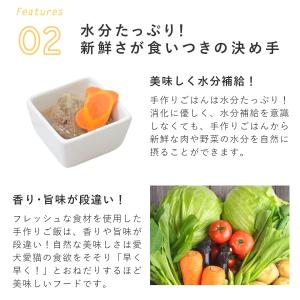 愛犬用 手作りごはん 低リン 犬 腎臓 フード...の詳細画像5