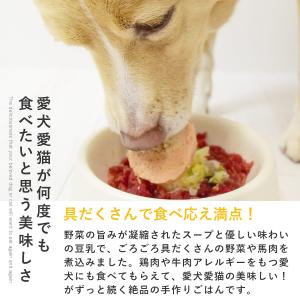 愛犬用 手作りごはん 低リン 低脂肪 犬 腎臓...の詳細画像1
