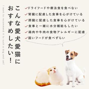 愛犬用 手作りごはん 低リン 低脂肪 犬 腎臓...の詳細画像3