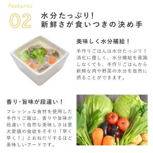 愛犬用 手作りごはん 低リン 低脂肪 犬 腎臓...の詳細画像5