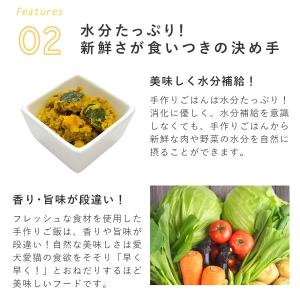 愛犬用 手作りごはん 低リン 低脂肪 犬 腎臓...の詳細画像5