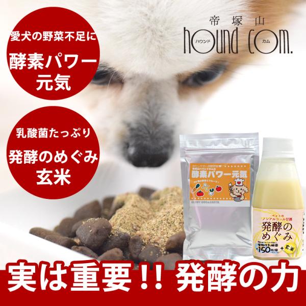 発酵2点セット（発酵野菜　酵素パワー元気＆乳酸菌甘酒　玄米）