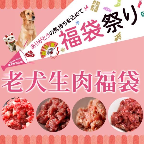 歳末特別企画♪わんこ大喜び！老犬生肉福袋 馬肉 犬 福袋
