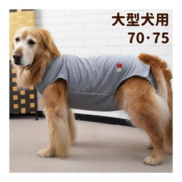 犬用　術後カバー服　大型犬用 サイズ70・75