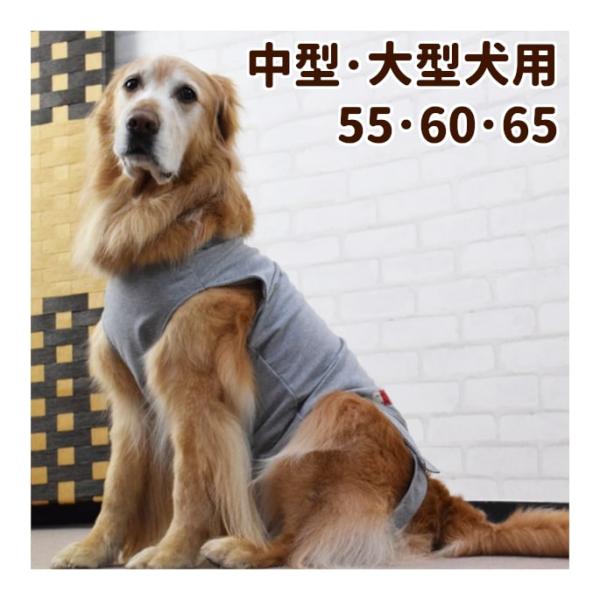 犬用　術後カバー服　中・大型犬用 サイズ55・60・65