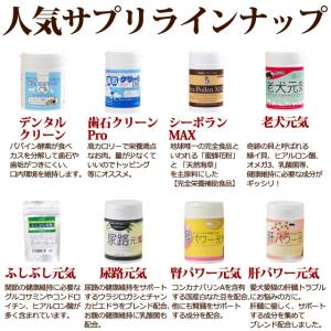 キャットタワー モダンルームスクラッチ タワーダブルの詳細画像4