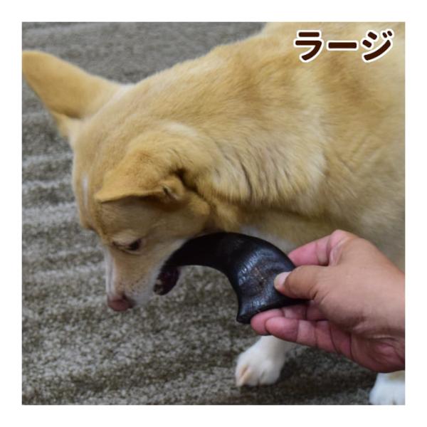 愛犬用 デンタルおもちゃ バッファローホーン ラージ