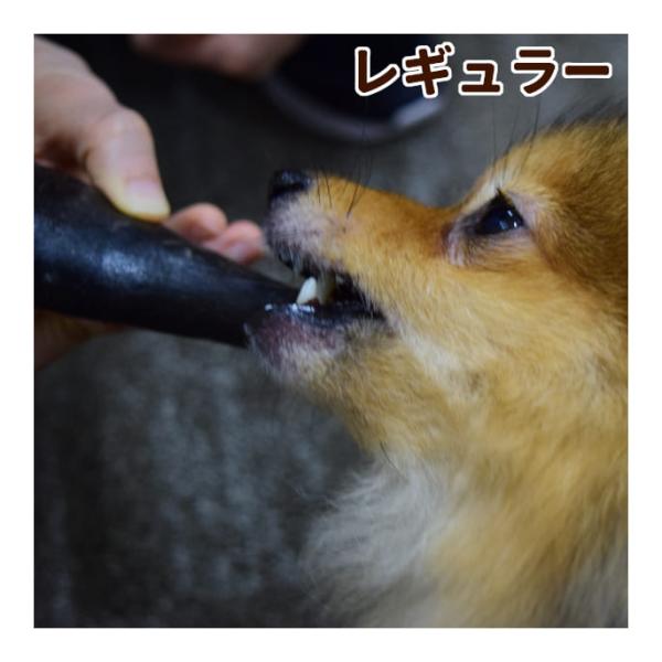 愛犬用 デンタルおもちゃ バッファローホーン レギュラー