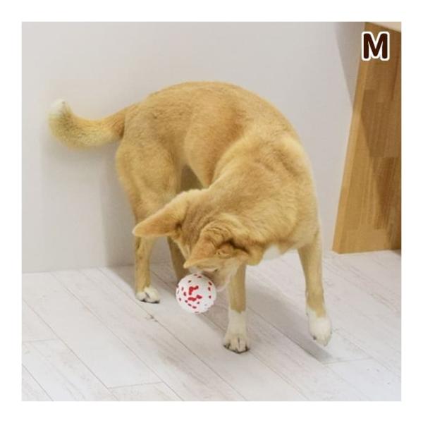 犬用おもちゃ フレックスボール Mサイズもってこい遊び