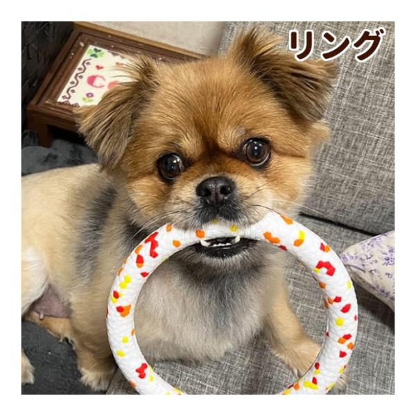 犬用おもちゃ フレックスリングもってこい遊び