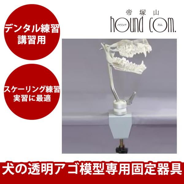 【取り寄せ商品】ボールジョイント 犬の透明アゴ模型専用固定器具