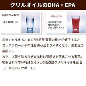 犬 腎臓 ドッグフード ウェットフード 腎臓療...の詳細画像3