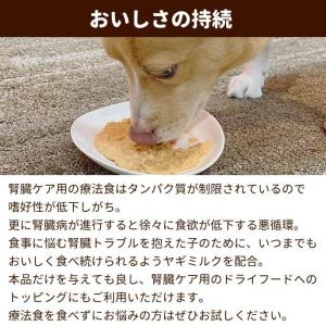犬 腎臓 ドッグフード ウェットフード 腎臓療...の詳細画像4