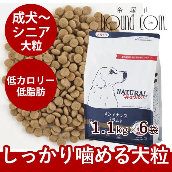 【おまけ付き】ナチュラルハーベスト　メンテナンス　ラム　1.1kg×6袋セット　大粒タイプ　NEWパ...
