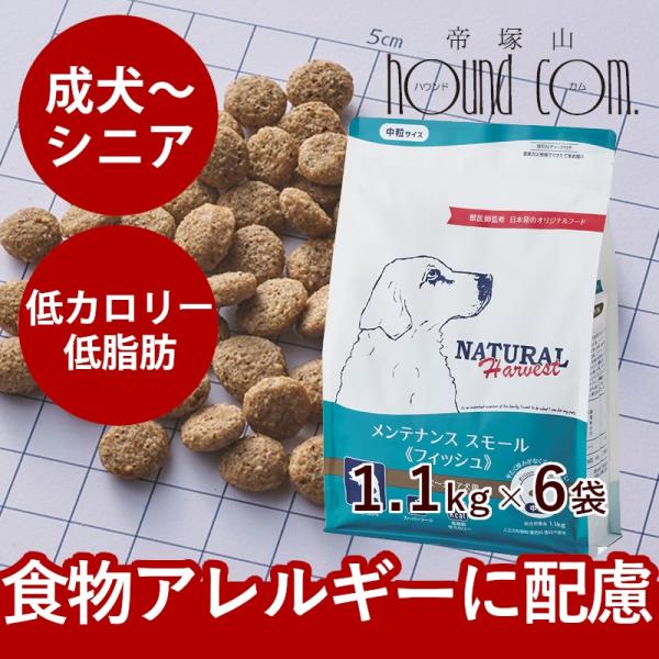 【おまけ付き】ナチュラルハーベスト　メンテナンススモール　フィッシュ　1.1kg×6袋セット　NEW...