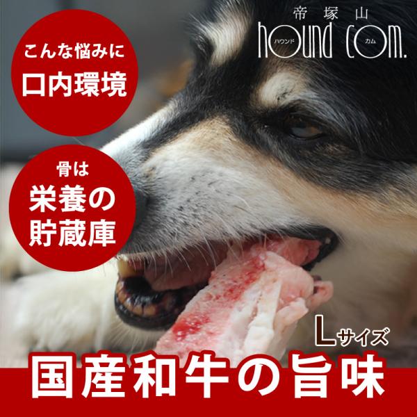 犬 骨　無添加デンタルボーン　黒毛和牛の生骨　Lサイズ 大型犬用