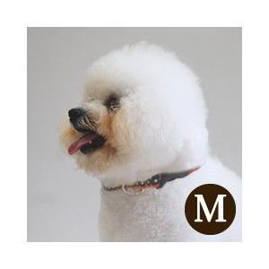 ASHU 犬 首輪 ラブリードット カラー・首輪 サイズM : 安心おやつ
