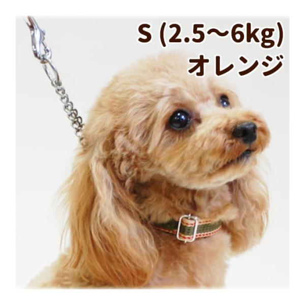 チョークカラー ASHU ワンラインW ハーフチョークカラーSサイズ・オレンジ チョーク