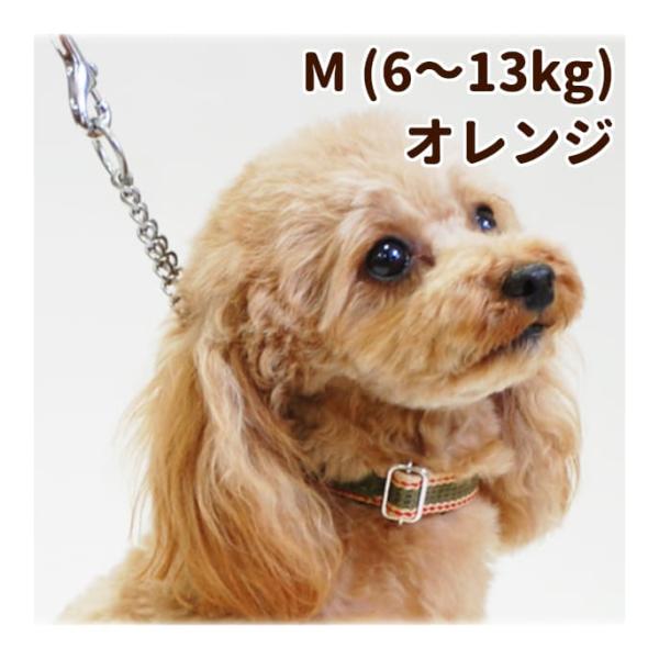 チョークカラー ASHU ワンラインW ハーフチョークカラー Mサイズ・オレンジ チョーク