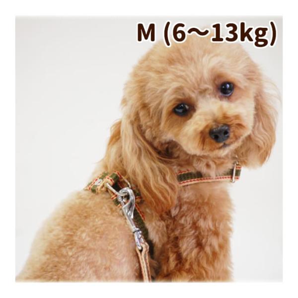 犬 ハーネス ASHU ワンラインWハーネス Mサイズ