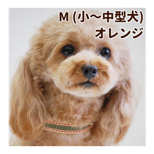 犬 首輪 ASHU ワンラインW チョークカラー Mサイズ・オレンジ チョーク