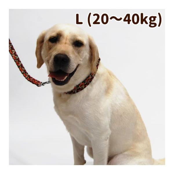 犬 首輪 ASHU*ネオ カラー サイズ：L 大型犬用