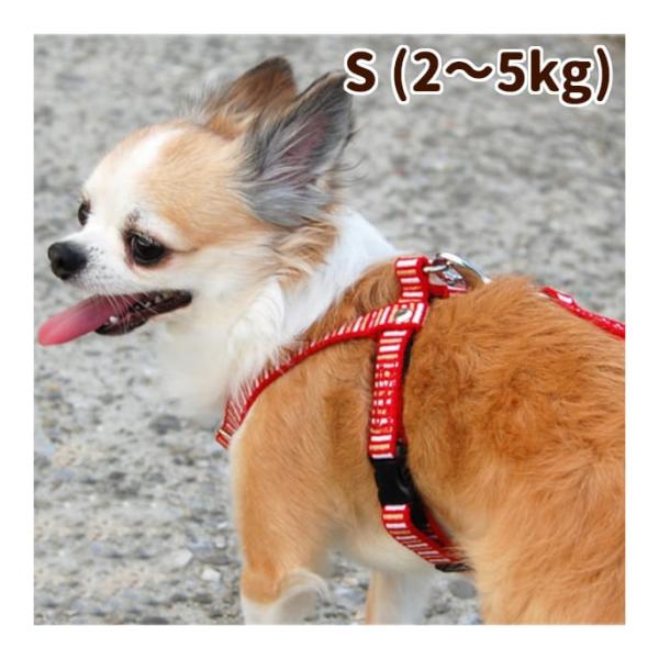 犬用 ハーネス 小型犬 ASHU ステップ ハーネス Sサイズ