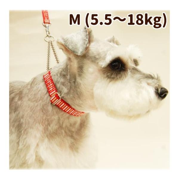 犬用 ハーフチョーク ASHU ステップ ハーフチョーク Mサイズ レッド