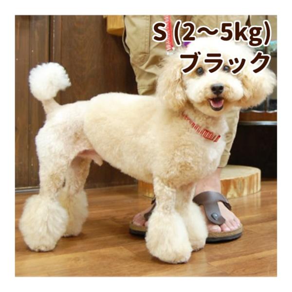 犬用 ハーフチョーク ASHU ステップ ハーフチョーク Sサイズ・ブラック