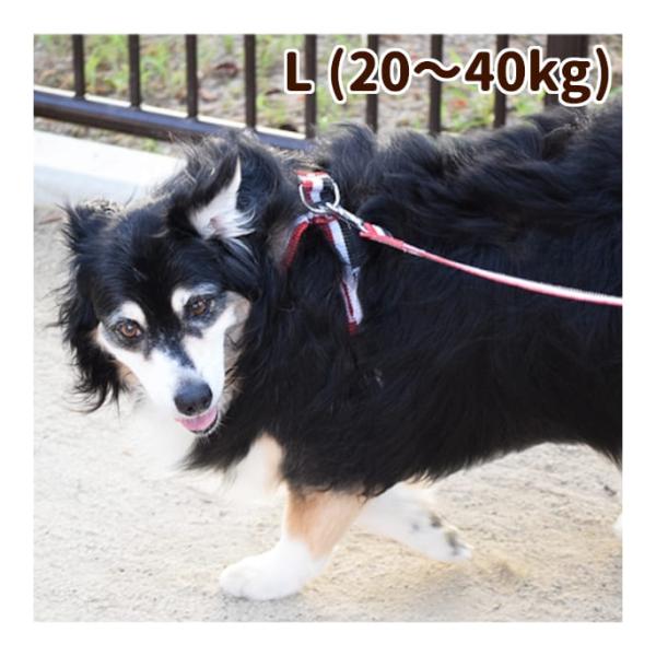 犬 ハーネス お散歩 ASHU トリコロール Lサイズ