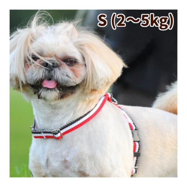 犬 ハーネス お散歩 ASHU トリコロール サイズS