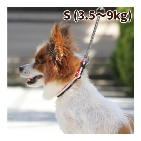 犬 ハーフチョーク しつけ用 ASHU トリコロール サイズＳ