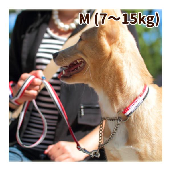 犬 ハーフチョーク しつけ用 ASHU トリコロール サイズM