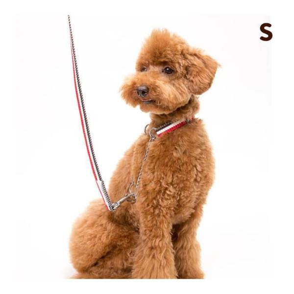 犬 リード お散歩 ASHU トリコロール リード サイズ Ｓ