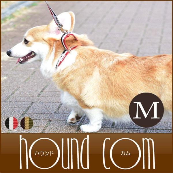 ASHU 犬用 トリコロール チェーンレス ハーフチョーク Mサイズ　中型犬用