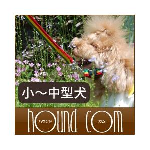犬 リード ASHUラスターリード 小型犬〜中型犬 ドッグリード