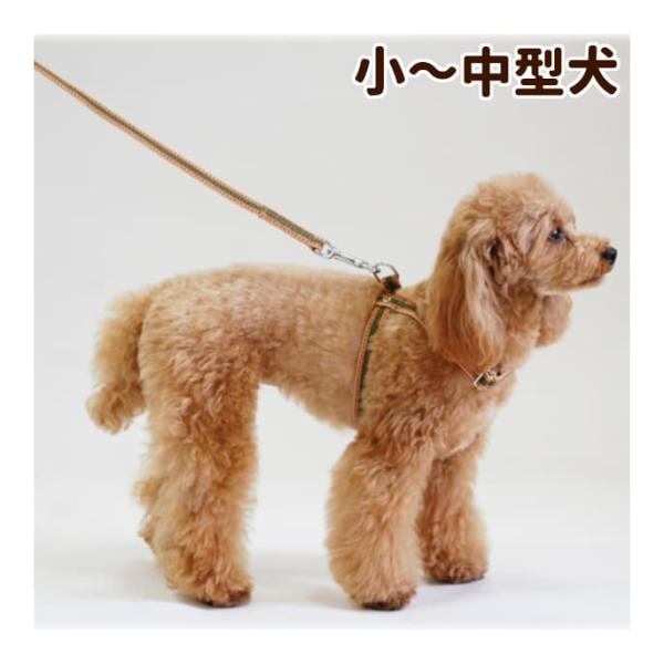 犬用リード ASHU ワンラインWリード