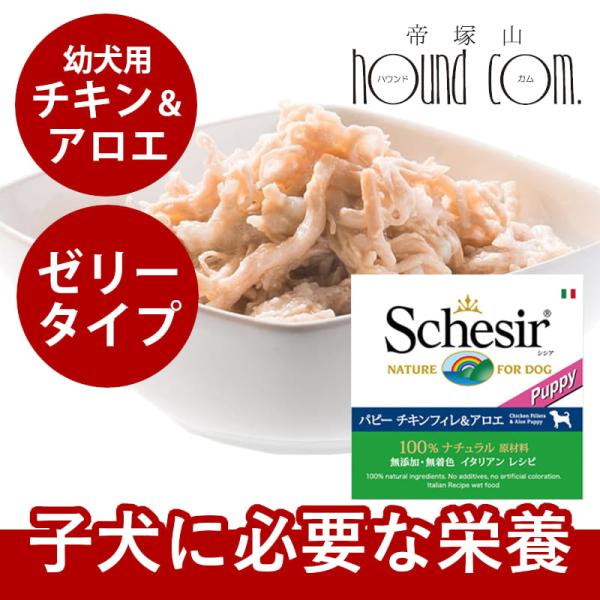Schesir シシア ドッグ ゼリータイプ チキン＆アロエ缶
