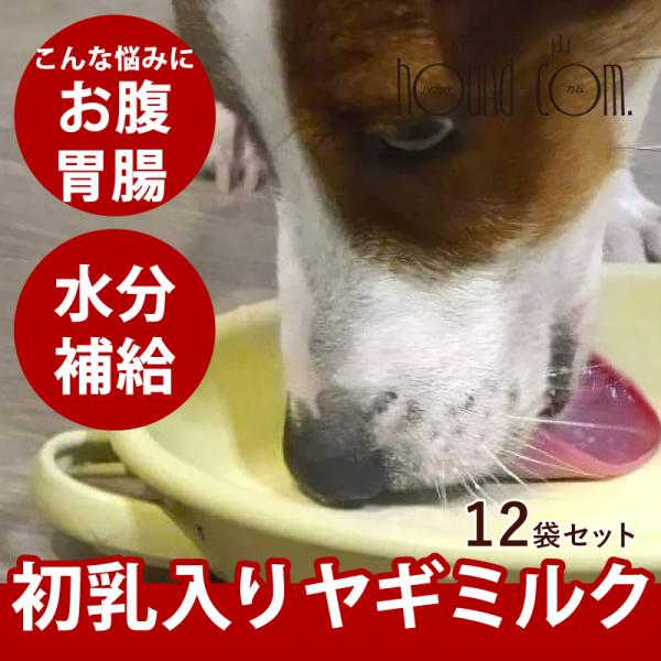 犬用ミルク　シグネチャー7 ゴートミルク　12袋セット　 ヤギミルク　全年齢対応