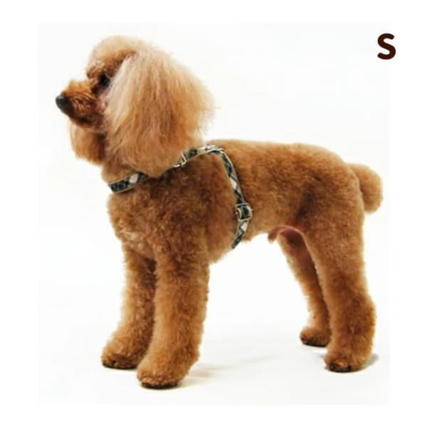 犬 ハーネス ASHU トラッドハーネス Sサイズ