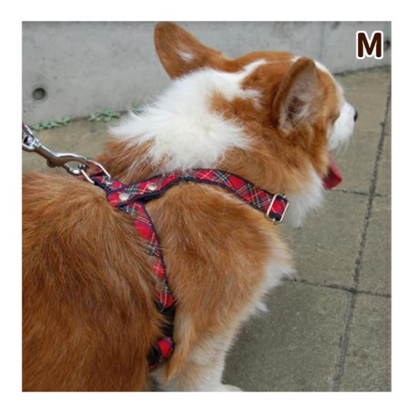 犬 ハーネス ASHU トラッドハーネス Mサイズ