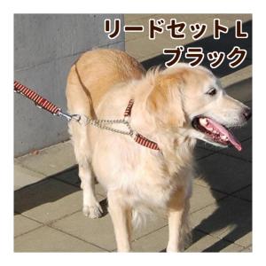 KINPEX（キンペックス） ペットドライヤー ハイパーペッカリー