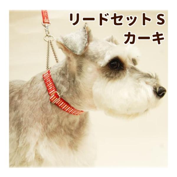 犬用 ハーフチョーク＆リード ASHU ステップ STEP Sサイズ・カーキ