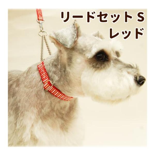 犬用 ハーフチョーク＆リード ASHU ステップ STEP Sサイズ・レッド