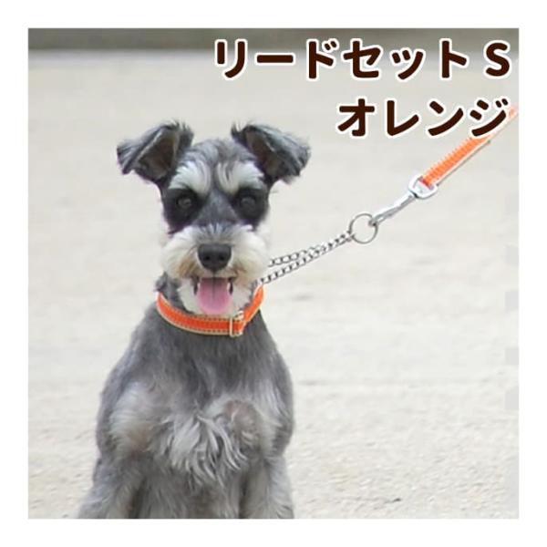 犬  ハーフチョーク しつけ用 ASHU ワンラインW ハーフチョークカラー&amp;リードSサイズ・オレン...